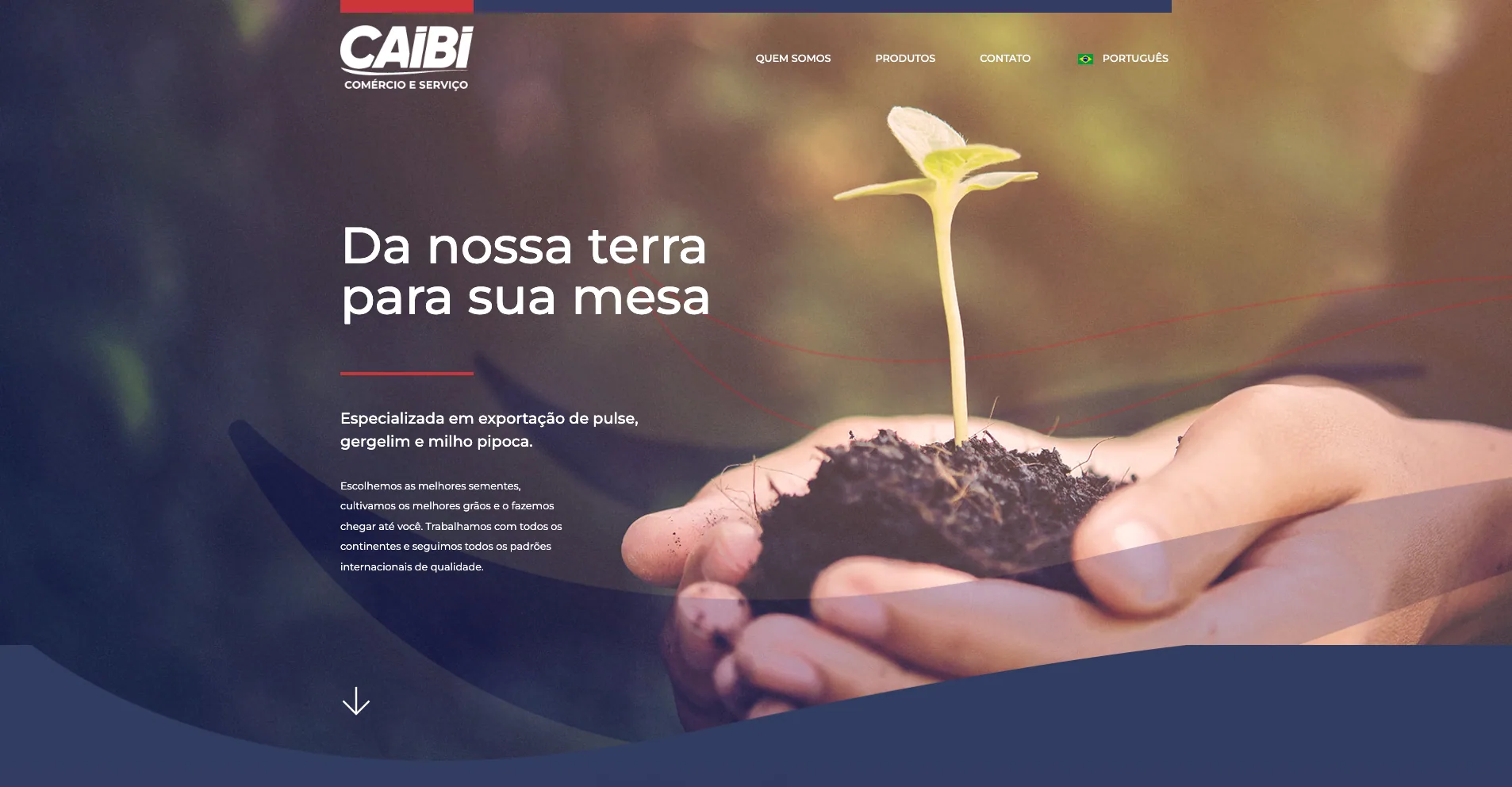 Web y Presentación Comercial — Caibi Trading
