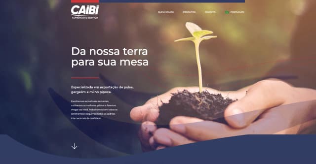 Web y Presentación Comercial — Caibi Trading
